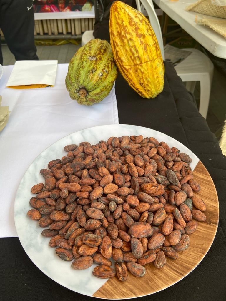 Resurgimiento Cacaotero en el Cauca