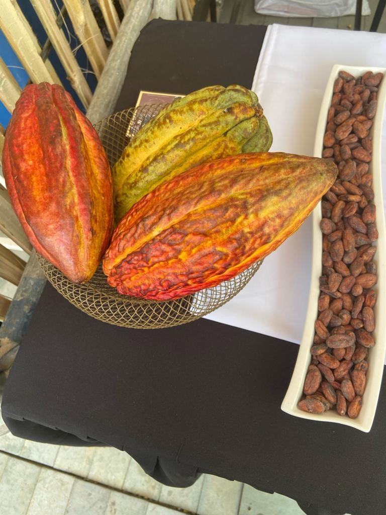 Resurgimiento Cacaotero en el Cauca